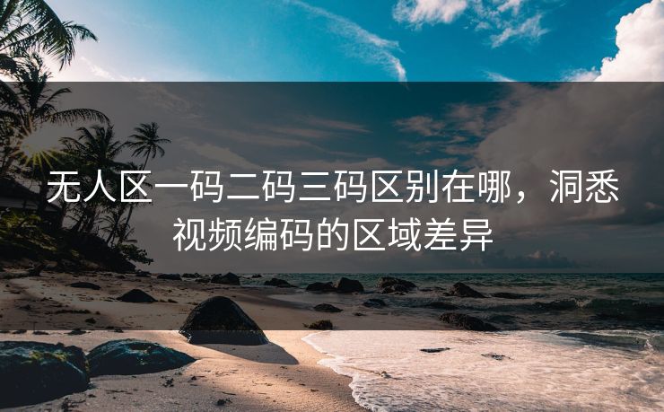 无人区一码二码三码区别在哪，洞悉视频编码的区域差异
