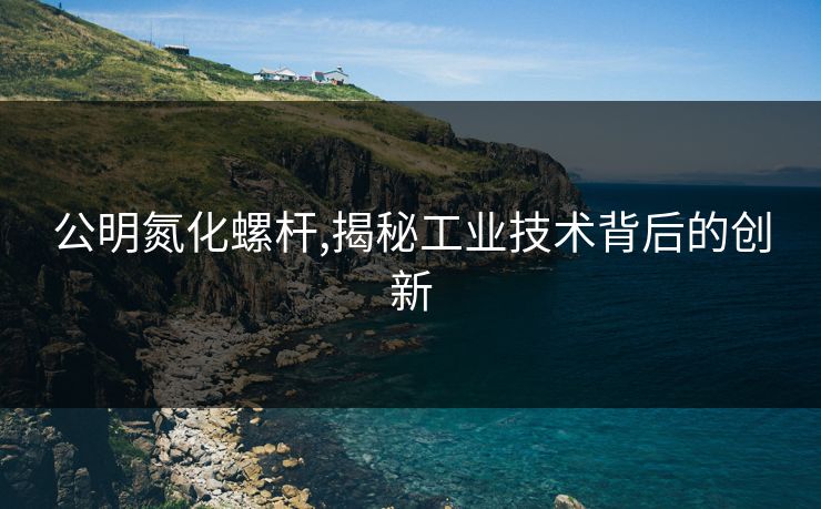 公明氮化螺杆,揭秘工业技术背后的创新