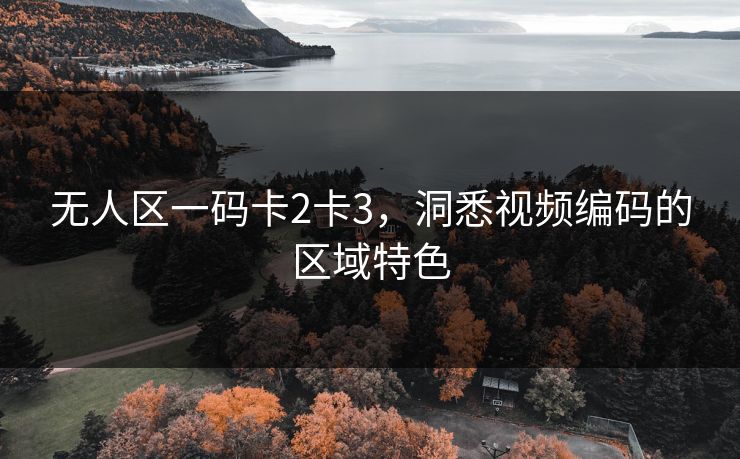 无人区一码卡2卡3，洞悉视频编码的区域特色