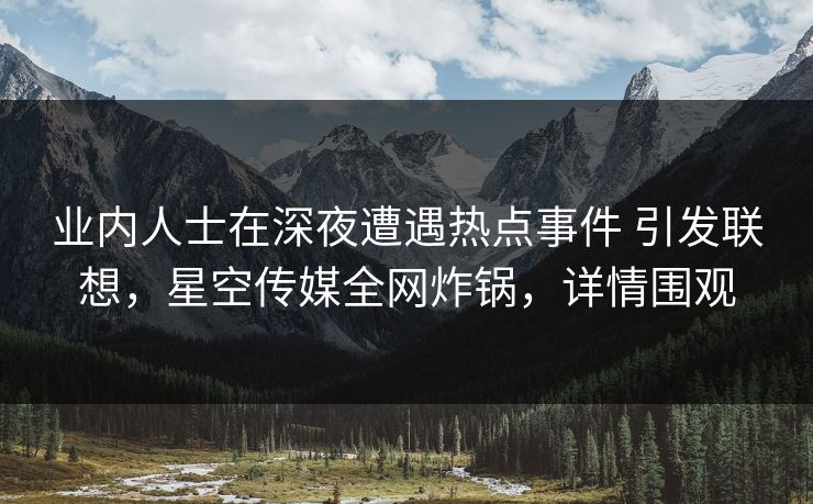 业内人士在深夜遭遇热点事件 引发联想，星空传媒全网炸锅，详情围观