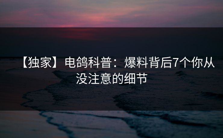 【独家】电鸽科普：爆料背后7个你从没注意的细节