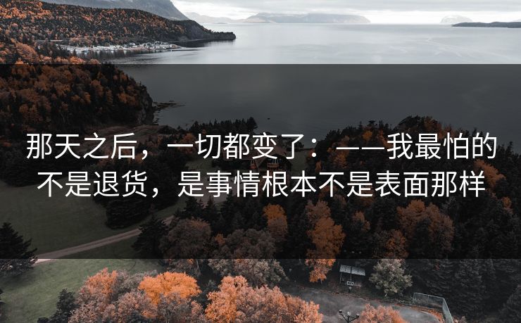 那天之后，一切都变了：——我最怕的不是退货，是事情根本不是表面那样