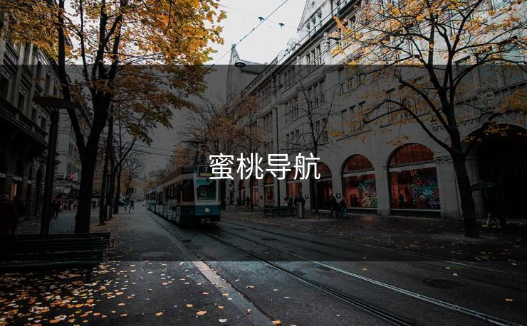 蜜桃导航