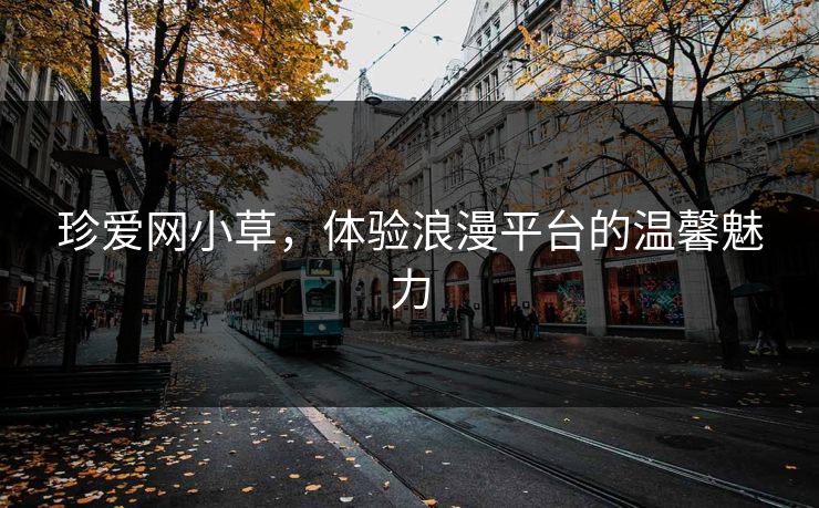 珍爱网小草，体验浪漫平台的温馨魅力