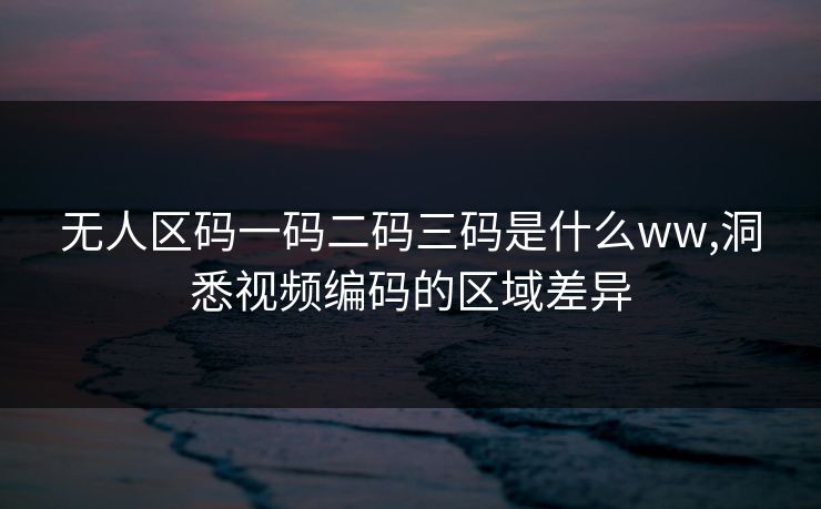 无人区码一码二码三码是什么ww,洞悉视频编码的区域差异 无人区码一码二码三码是什么ww,洞悉视频编码的区域差异