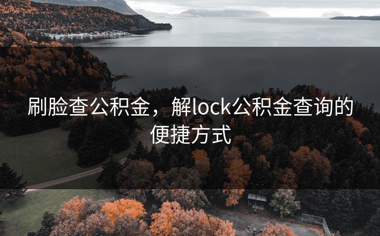 刷脸查公积金,解lock公积金查询的便捷方式 刷脸查公积金,解lock公积金查询的便捷方式