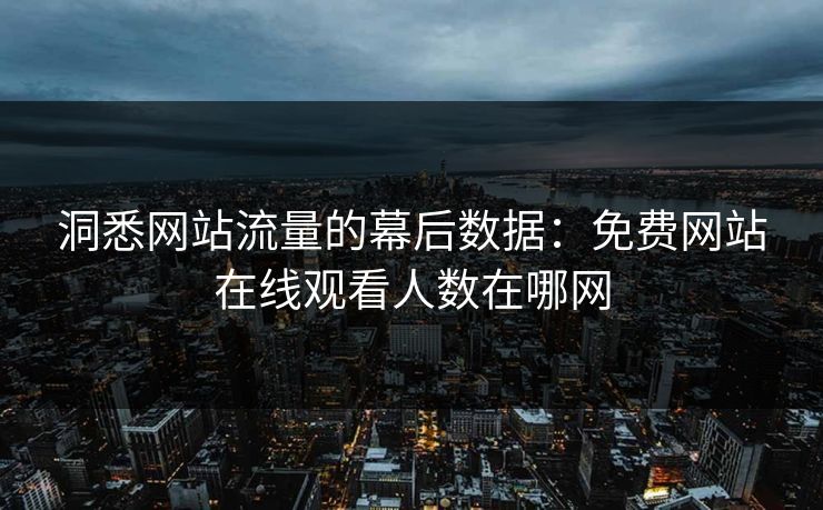 洞悉网站流量的幕后数据：免费网站在线观看人数在哪网