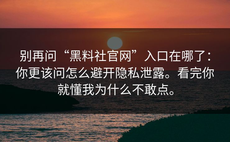 别再问“黑料社官网”入口在哪了：你更该问怎么避开隐私泄露。看完你就懂我为什么不敢点。