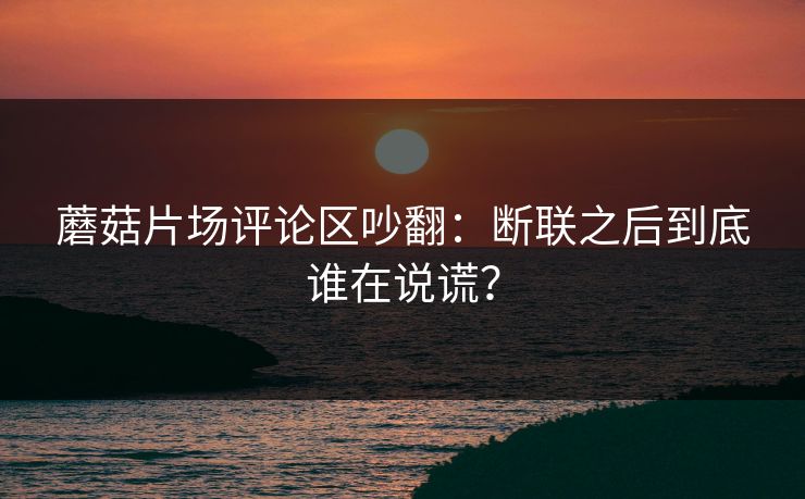 蘑菇片场评论区吵翻：断联之后到底谁在说谎？
